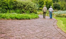 Eredità, quanto mi costi?